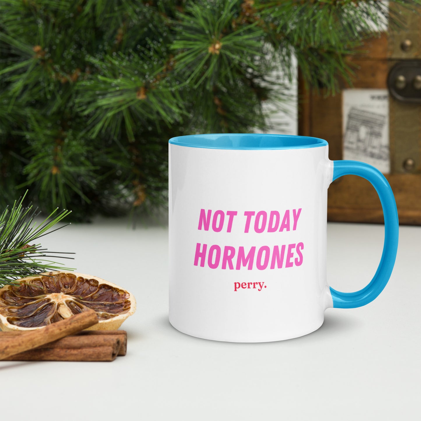 Not Today Hormones - Mug
